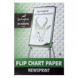 Flip Chart Pad A1 JD593